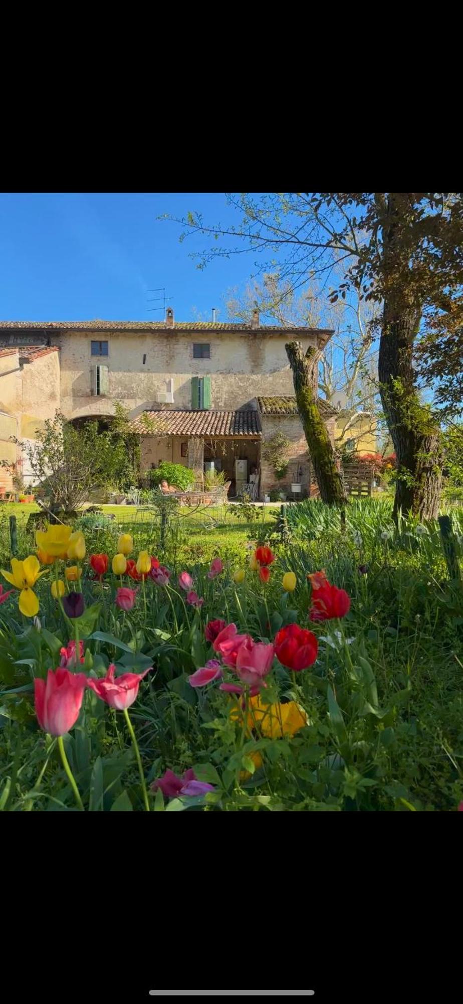 B&B Ostria Vento Medesano Bagian luar foto